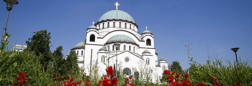 Red flowers surround the Temple of Saint Sava in Belgrade, Serbia 